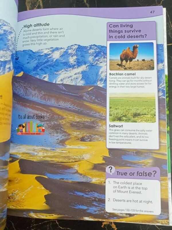 646173622_1280330390873524_2825847263653114666_n