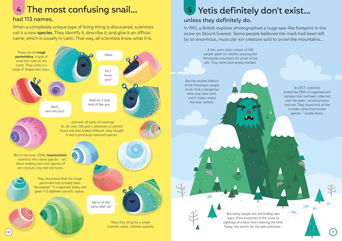 810FeFePZ8L._SL1500_