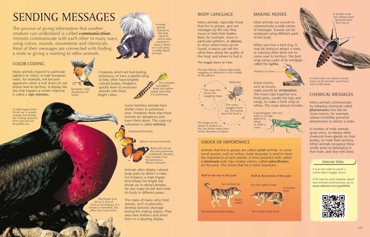 81jDW6f-lQL._SL1500_