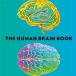 The Human Brain Book: A Visual Guide to the Structure and Function Hardcover – February 10, 2026 by Rita Carter