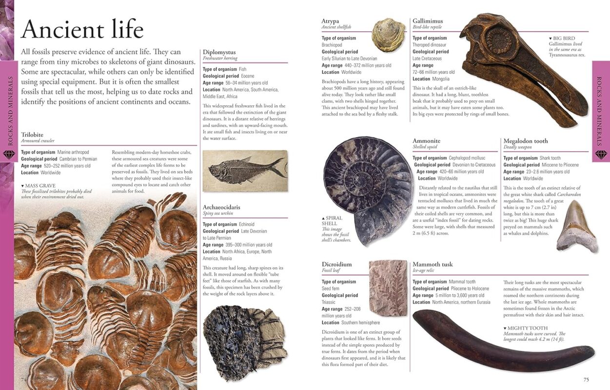 913USEsi8GL._SL1500_