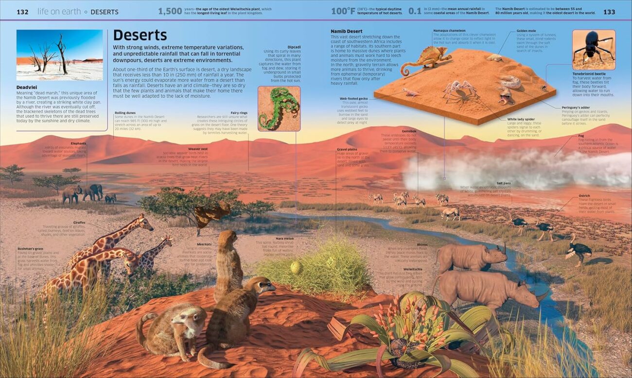 91B1c5Ecs0L._SL1500_