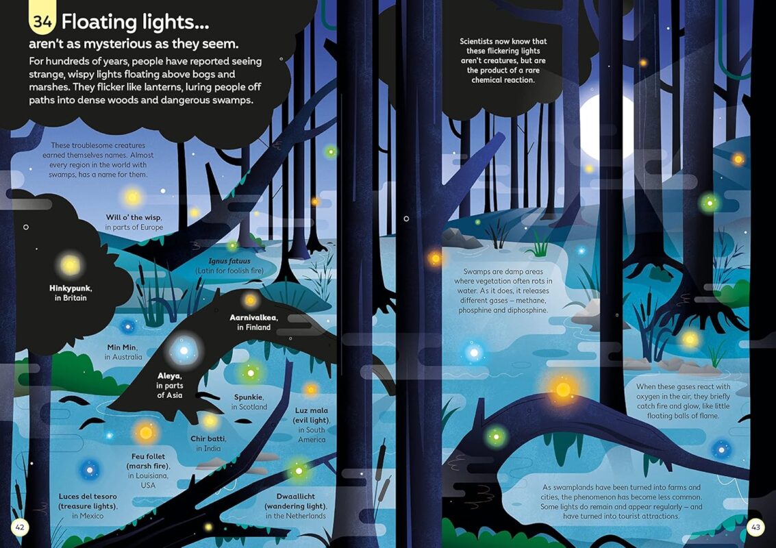 91EGizRZYvL._SL1500_