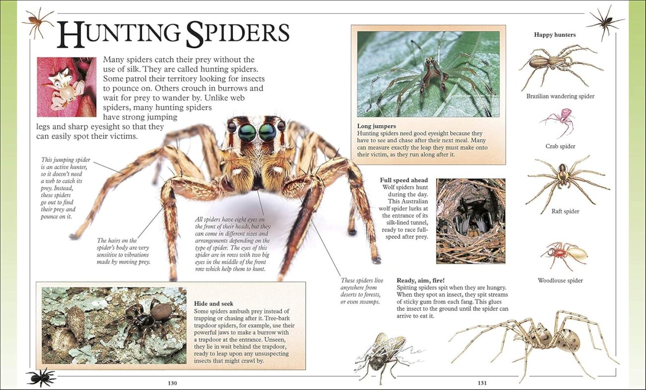 91SXRZ5VPKL._SL1500_