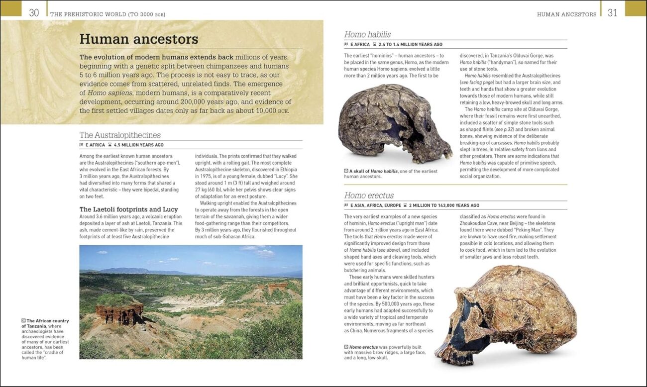 91WcdHnLymL._SL1500_