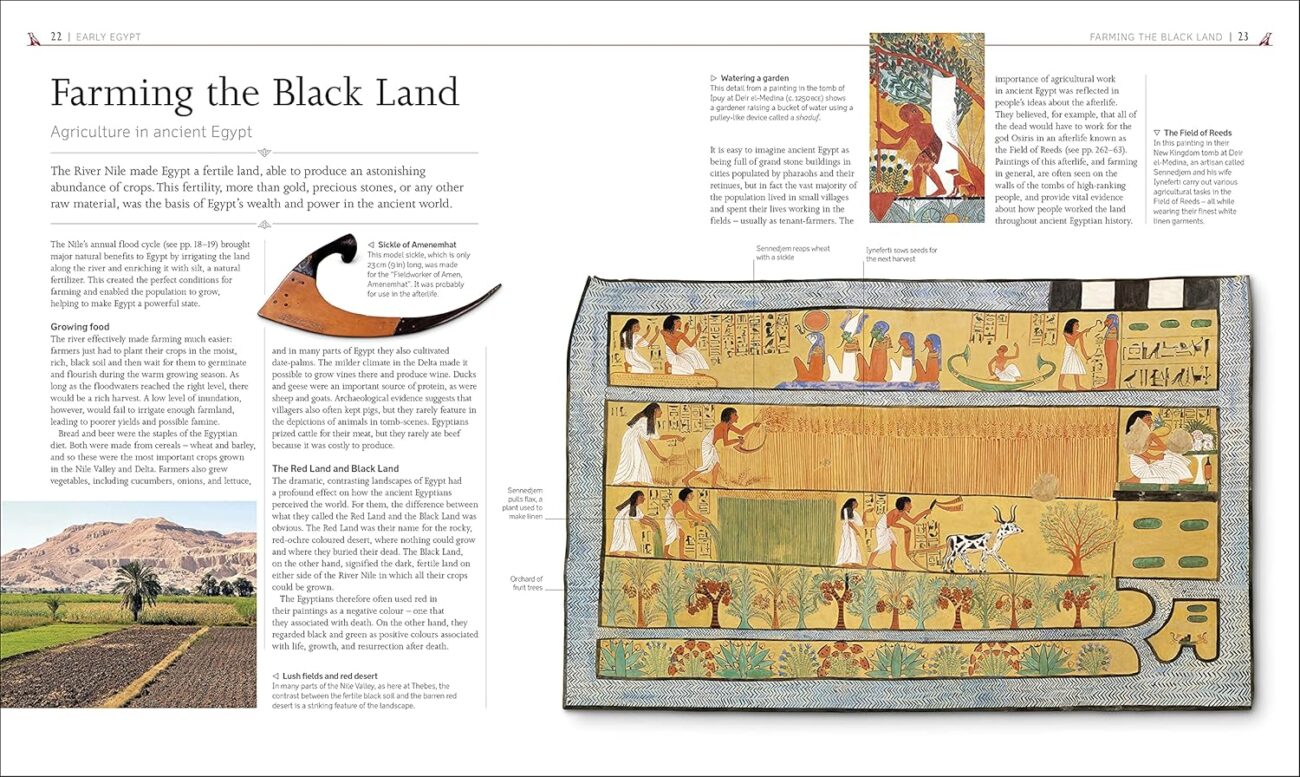 91dO9GjhqdL._SL1500_