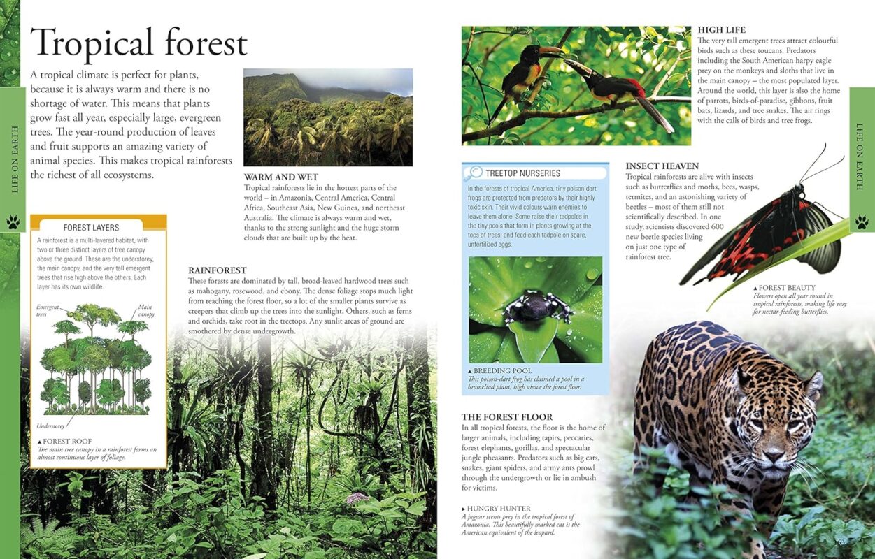 A1DauJIptiL._SL1500_