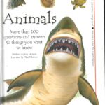 Animals by jinny johnson